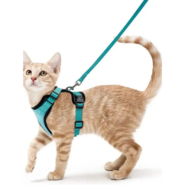 Escape-Proof Cat Harness and Leash Set: Soft Adjustable Walking Vest with EasyControl - MINT GREEN / S