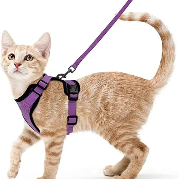Escape-Proof Cat Harness and Leash Set: Soft Adjustable Walking Vest with EasyControl - PURPLE / XS（old）