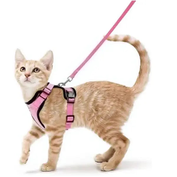 Escape-Proof Cat Harness and Leash Set: Soft Adjustable Walking Vest with EasyControl - Pink / XS（old）