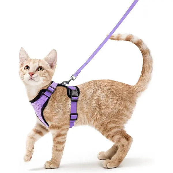 Escape-Proof Cat Harness and Leash Set: Soft Adjustable Walking Vest with EasyControl - VIOLET / XS（old）