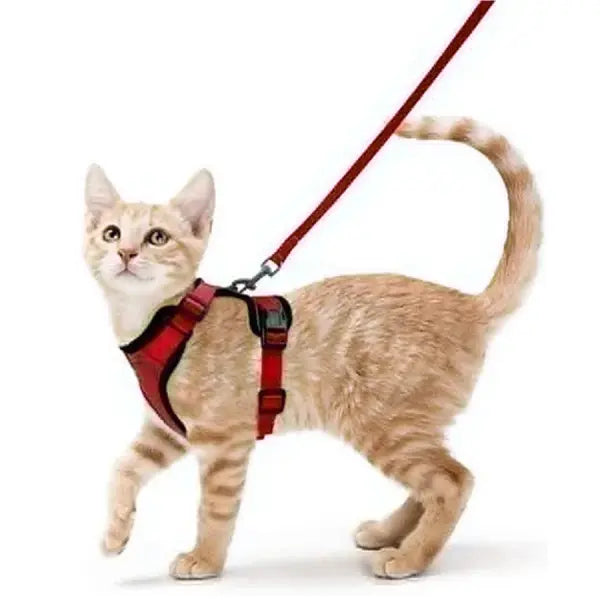 Escape-Proof Cat Harness and Leash Set: Soft Adjustable Walking Vest with EasyControl - Red / XS（old）