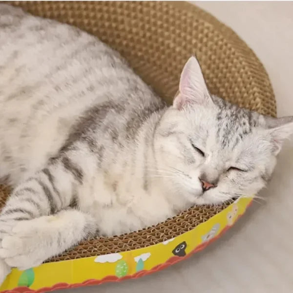 Cat Scratching Board - Oval Corrugated Paper Claw Toy & Furniture Protector - Himpall