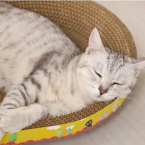 Cat Scratching Board - Oval Corrugated Paper Claw Toy & Furniture Protector - Himpall