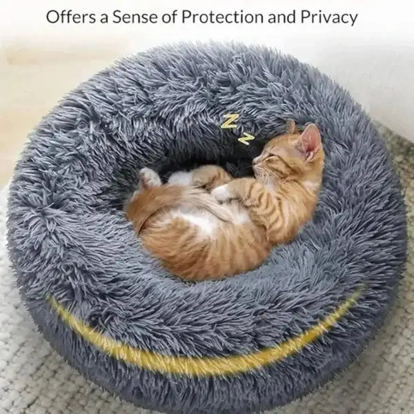 Sleeping orange kitten in comfortable coral fleece round pet bed for furry friend