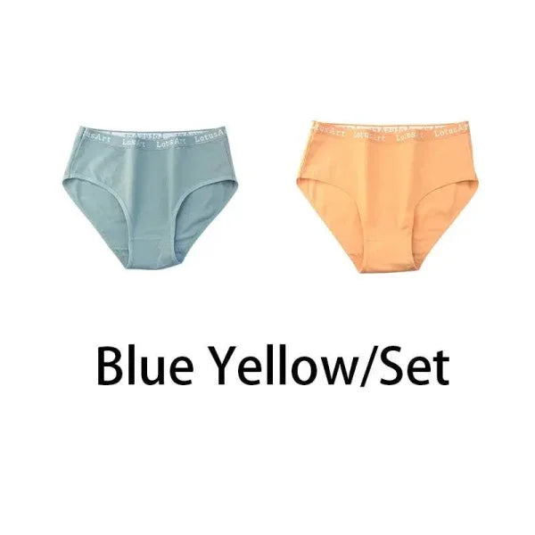 Cotton Panties – 2PCS Set for Plus Size Comfort & High Waist Style - Blue Yellow / 2XL 80-100kg / 2Pcs