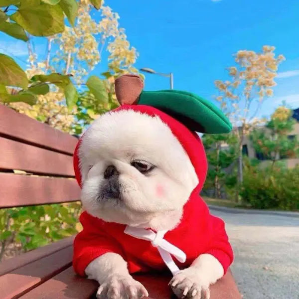 Cute Fruit Dog Clothes For Small Dogs Hoodies Winter Warm Fleece Pet Clothing Puppy Cat Costume Coat For French