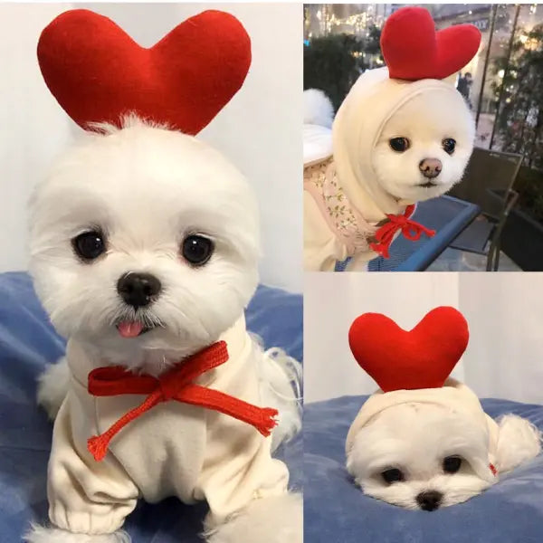 Cute Fruit Dog Clothes For Small Dogs Hoodies Winter Warm Fleece Pet Clothing Puppy Cat Costume Coat For French