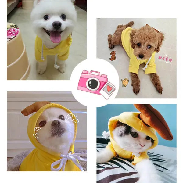 Cute Fruit Dog Clothes For Small Dogs Hoodies Winter Warm Fleece Pet Clothing Puppy Cat Costume Coat For French