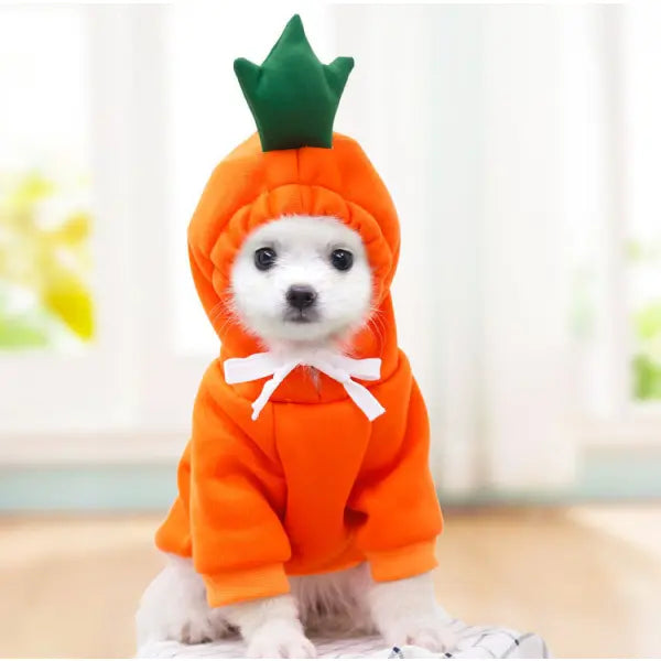 Cute Fruit Dog Clothes For Small Dogs Hoodies Winter Warm Fleece Pet Clothing Puppy Cat Costume Coat For French