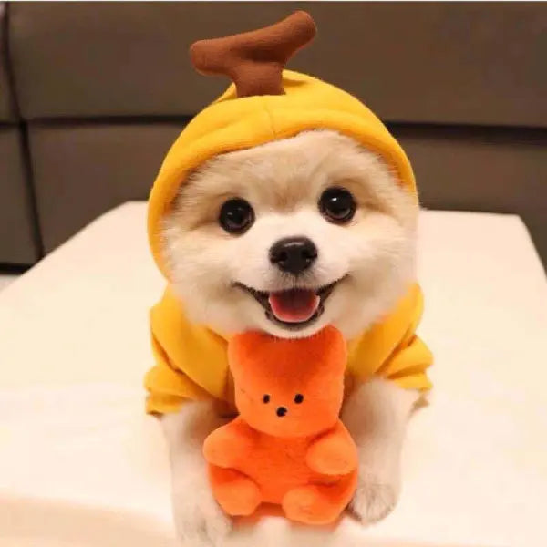 Cute Fruit Dog Clothes For Small Dogs Hoodies Winter Warm Fleece Pet Clothing Puppy Cat Costume Coat For French
