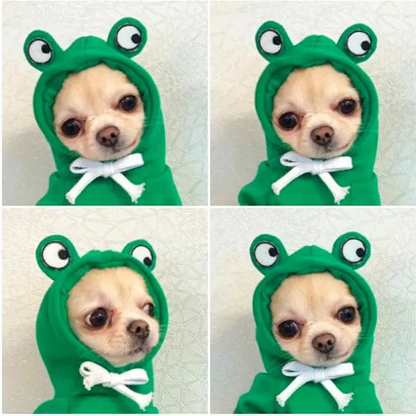 Cute Fruit Dog Clothes For Small Dogs Hoodies Winter Warm Fleece Pet Clothing Puppy Cat Costume Coat For French