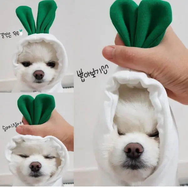 Cute Fruit Dog Clothes For Small Dogs Hoodies Winter Warm Fleece Pet Clothing Puppy Cat Costume Coat For French