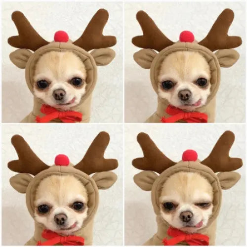 Cute Fruit Dog Clothes For Small Dogs Hoodies Winter Warm Fleece Pet Clothing Puppy Cat Costume Coat For French