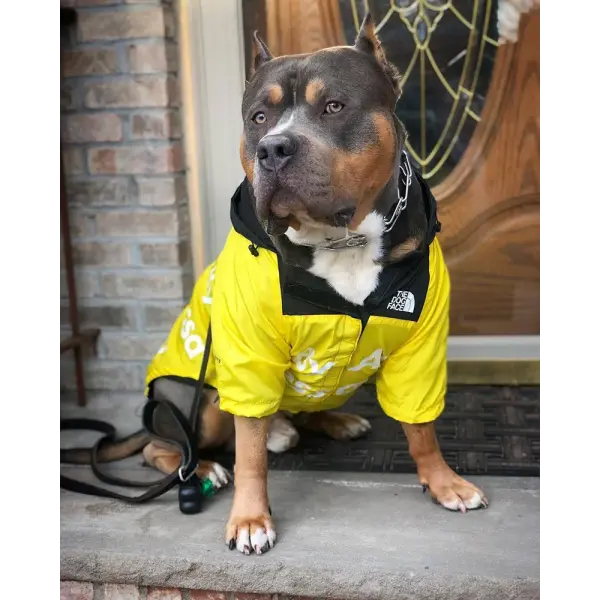 Dog Raincoat for Small & Large Dogs – Waterproof Windbreaker Jacket with Hood for French Bulldog Chihuahua & More