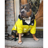 Dog Raincoat for Small & Large Dogs – Waterproof Windbreaker Jacket with Hood for French Bulldog Chihuahua & More