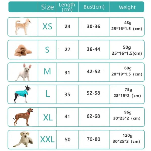 Double-Sided Winter Dog Coat – Warm Soft Vest for Small & Medium Dogs Chihuahua Puppy Clothes