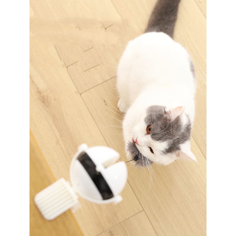 Electric Automatic Lifting Motion Cat Toy - Interactive Smart Teaser Ball