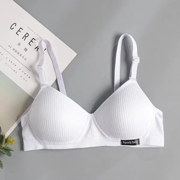 FallSweet Cotton Wireless Bra for Women Seamless Push Up Bras Comfortable V-Shaped Gathering Underwear AB Cup Intimate