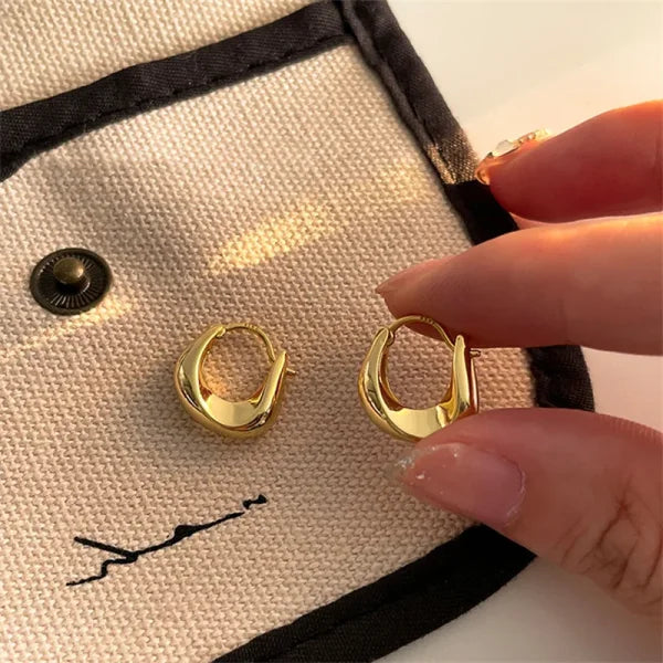 Fashion Metal Drop Earrings – Vintage Hoop Pendant Jewelry for Women - Himpall