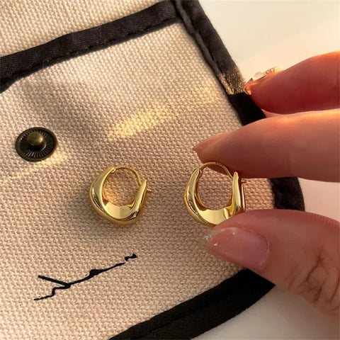 Fashion Metal Drop Earrings – Vintage Hoop Pendant Jewelry for Women - 13