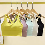 Fixed Pad Sports Bra Underwear High-strength Professional Shockproof Running Bra Gym Push Up Lingerie Yoga Fitness Bra