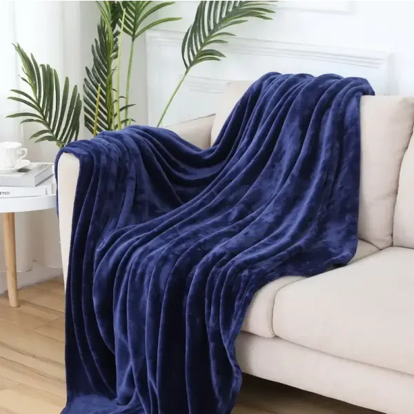 Fluffy Coral Velvet Blanket Flannel Plush Comfortable Thickened and Warm Soft Sofa Throw Blanket for Air-Conditioned
