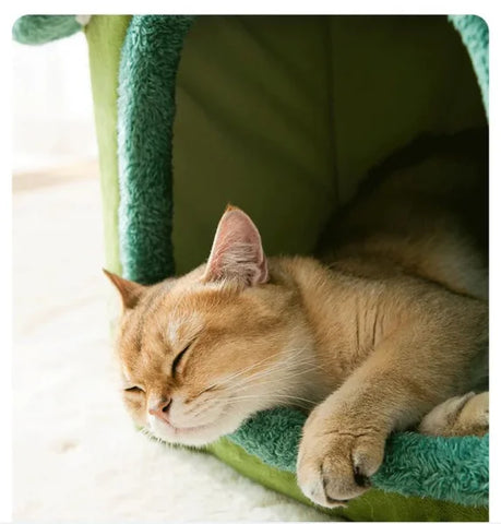 Foldable Dog House Kennel Bed - Warm Winter Nest for Pets