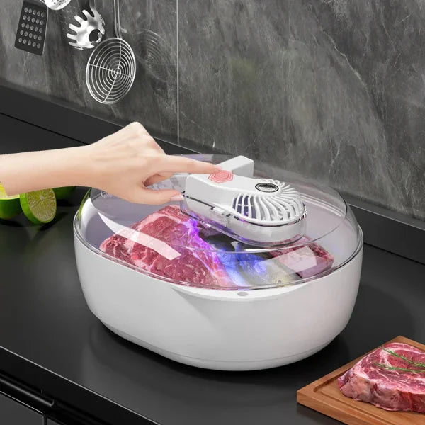 Frozen Meat Thawer Machine - 6-in-1 Ultrasonic Defrosting with USB Charging