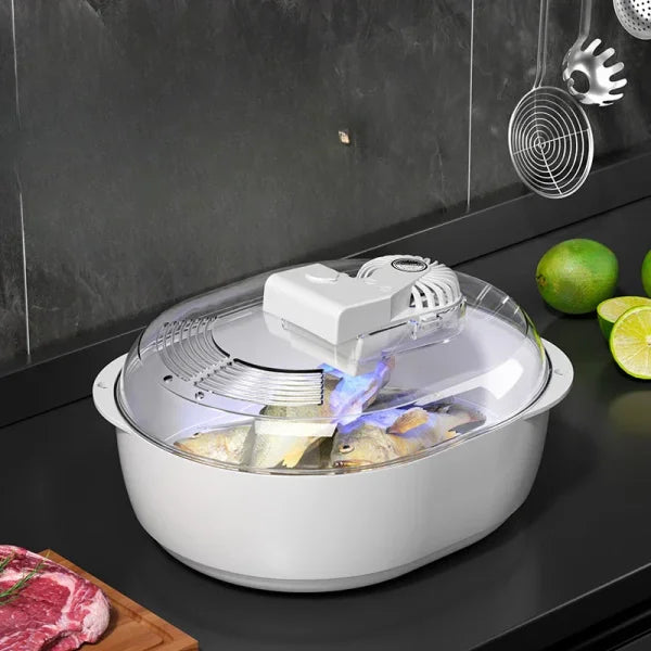 Frozen Meat Thawer Machine - 6-in-1 Ultrasonic Defrosting with USB Charging