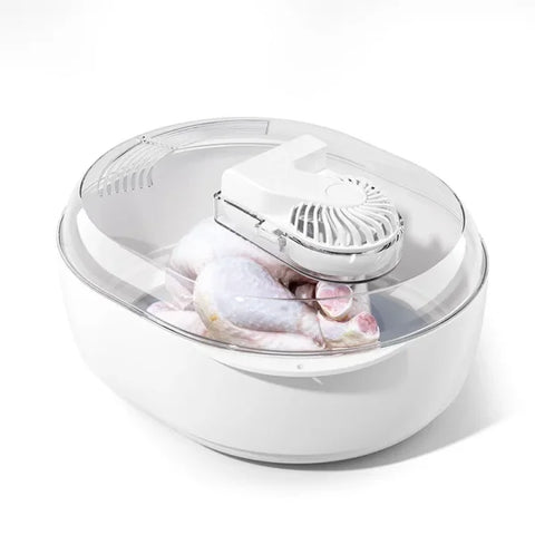 Frozen Meat Thawer Machine - 6-in-1 Ultrasonic Defrosting with USB Charging - 4-in-1 model