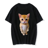 Funny 3D Cat Print Oversized T-Shirt – Casual Harajuku Tee for Women & Men Unisex Fashion Top - D1363A-Black / XXXL