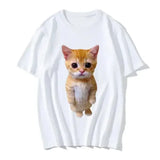Funny 3D Cat Print Oversized T-Shirt – Casual Harajuku Tee for Women & Men Unisex Fashion Top - D1363A-White / XXXL