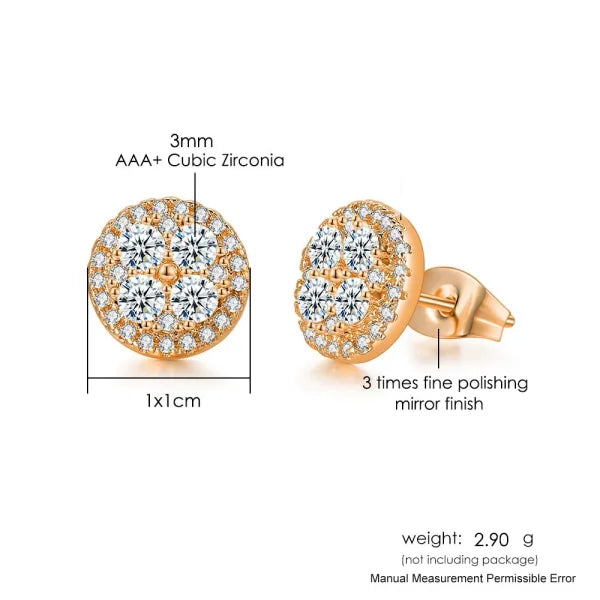 Hip-Hop Iced Out Zircon Stud Earrings for Men – Gold Color Jewelry - Himpall