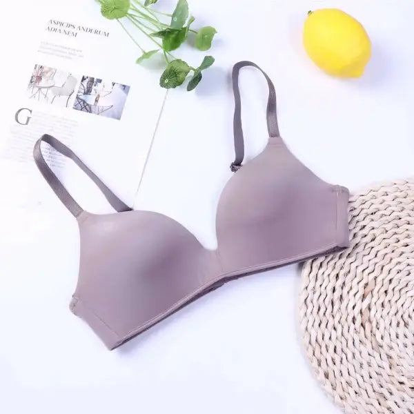 Ice Silk Bra For Women Comfort Wireless Gather Sexy Underwear For Women Push Up Simple Lingerie Seamless Brassiere