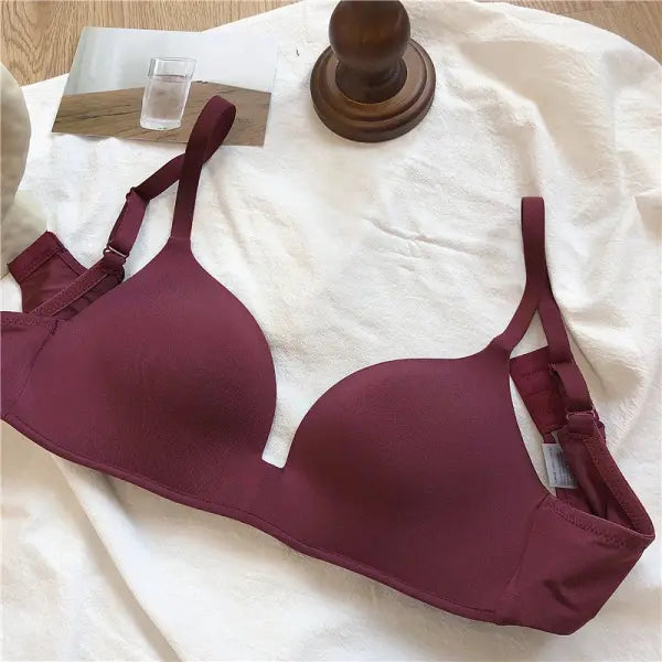 Ice Silk Bra For Women Comfort Wireless Gather Sexy Underwear For Women Push Up Simple Lingerie Seamless Brassiere