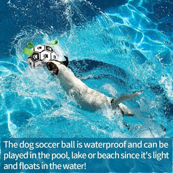 Interactive Inflatable Soccer Ball for Dogs – Outdoor Training Toy for Large Dogs & Border Collies