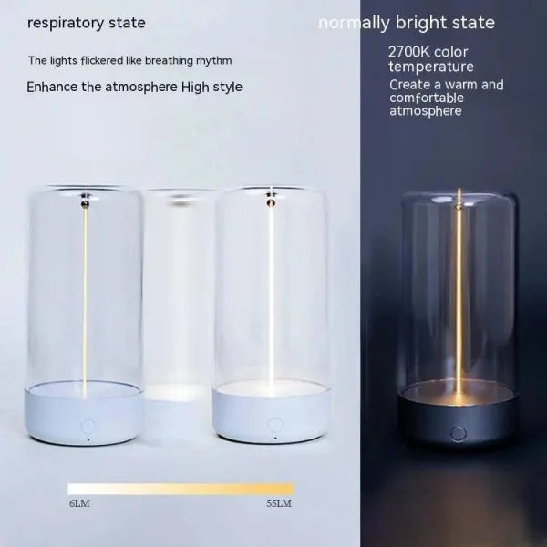LED Camping Light Rechargeable Portable Night Light for Outdoor - Himpall