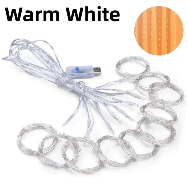 LED Light Ropes for Festive Holiday Cheer 3mx2m 200 LED Remote Control - Himpall