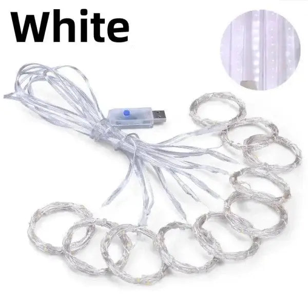 LED Light Ropes for Festive Holiday Cheer 3mx2m 200 LED Remote Control - Himpall