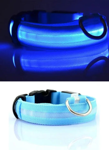LED Nylon Dog Collar – Glow-in-the-Dark Flashing Pet Leash for Night Safety and Visibility - Blue / M Length 40-48 CM