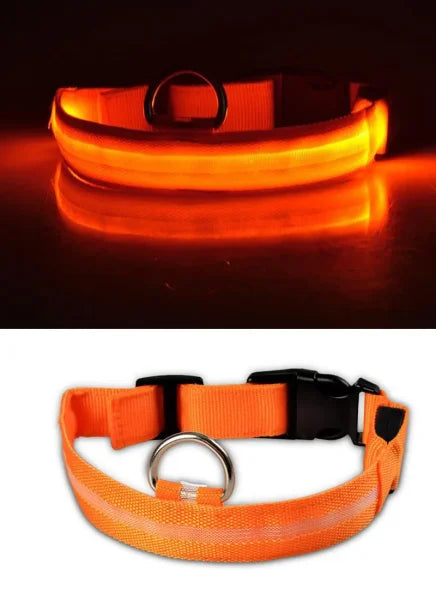 LED Nylon Dog Collar – Glow-in-the-Dark Flashing Pet Leash for Night Safety and Visibility - Orange / M Length 40-48 CM