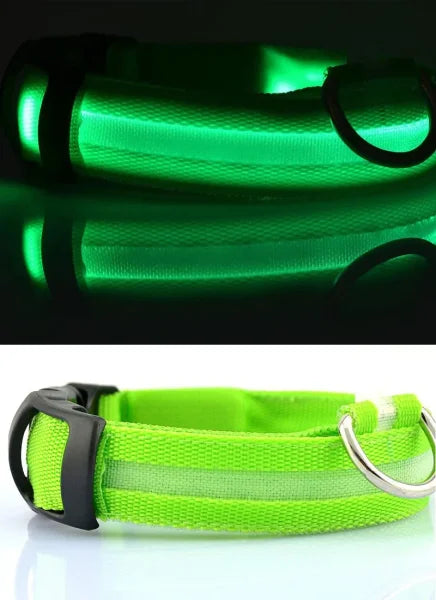 LED Nylon Dog Collar – Glow-in-the-Dark Flashing Pet Leash for Night Safety and Visibility - green / M Length 40-48 CM