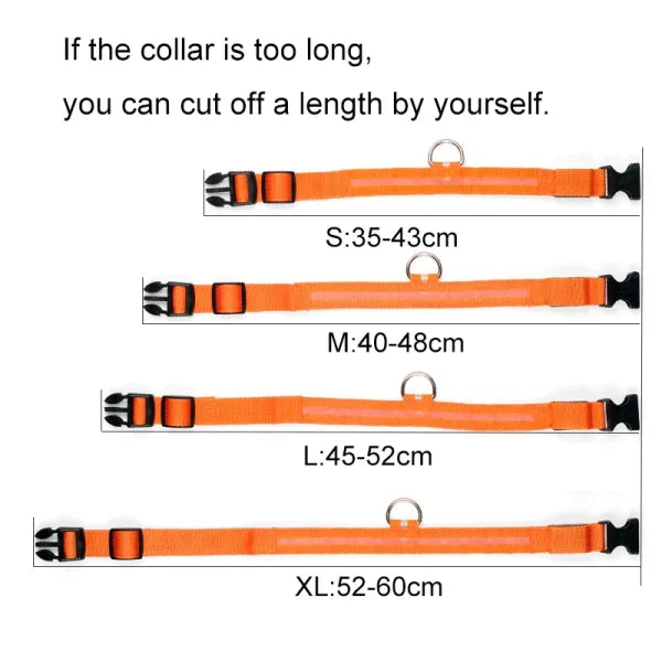 LED Nylon Dog Collar – Glow-in-the-Dark Flashing Pet Leash for Night Safety and Visibility