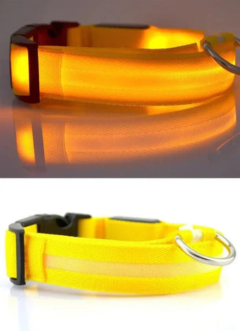 LED Nylon Dog Collar – Glow-in-the-Dark Flashing Pet Leash for Night Safety and Visibility - Yellow / M Length 40-48 CM