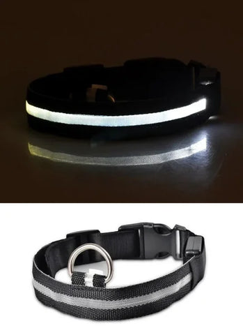 LED Nylon Dog Collar – Glow-in-the-Dark Flashing Pet Leash for Night Safety and Visibility - black / M Length 40-48 CM