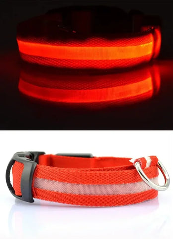 LED Nylon Dog Collar – Glow-in-the-Dark Flashing Pet Leash for Night Safety and Visibility - Red / M Length 40-48 CM