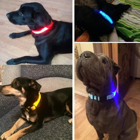 LED Nylon Dog Collar – Glow-in-the-Dark Flashing Pet Leash for Night Safety and Visibility