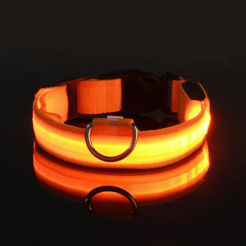 LED Nylon Dog Leash & Collar Set – Glow-in-the-Dark Flashing Pet Gear for Night Safety - Orange / XL