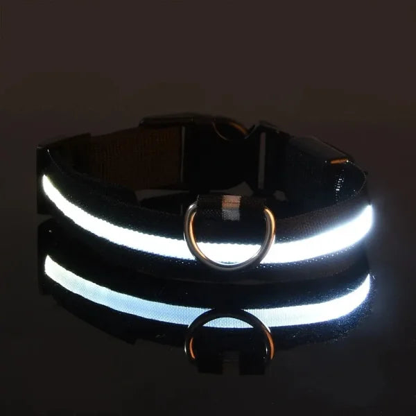 LED Nylon Dog Leash & Collar Set – Glow-in-the-Dark Flashing Pet Gear for Night Safety - Black / L