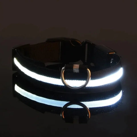 LED Nylon Dog Leash & Collar Set – Glow-in-the-Dark Flashing Pet Gear for Night Safety - Black / L